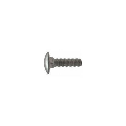 Picture of Coach bolt M8 x 25 SS