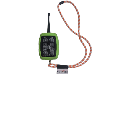 Picture of 8-16 channel remote control App 