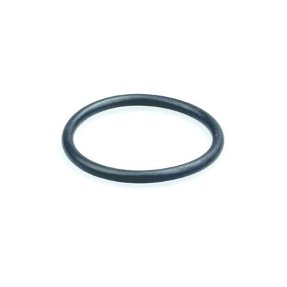 Picture of Gasket Cover Buffer Tank 500 short Oval