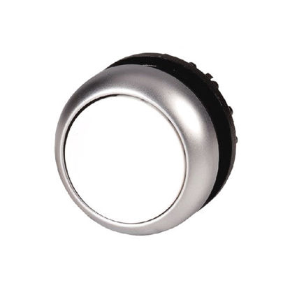 Picture of Push-button White